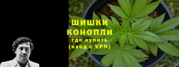 шишки Пестово