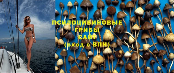 мескалин Покров